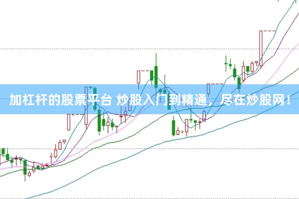 加杠杆的股票平台 炒股入门到精通，尽在炒股网！