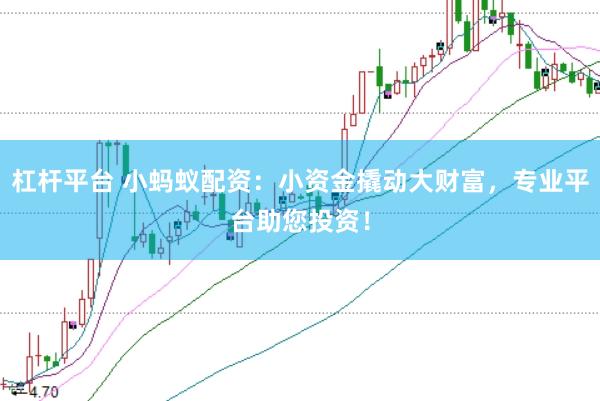 杠杆平台 小蚂蚁配资：小资金撬动大财富，专业平台助您投资！