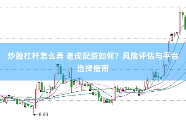 炒股杠杆怎么弄 老虎配资如何？风险评估与平台选择指南