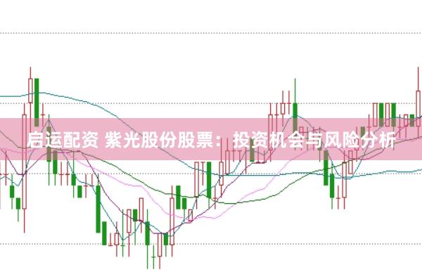 启运配资 紫光股份股票：投资机会与风险分析